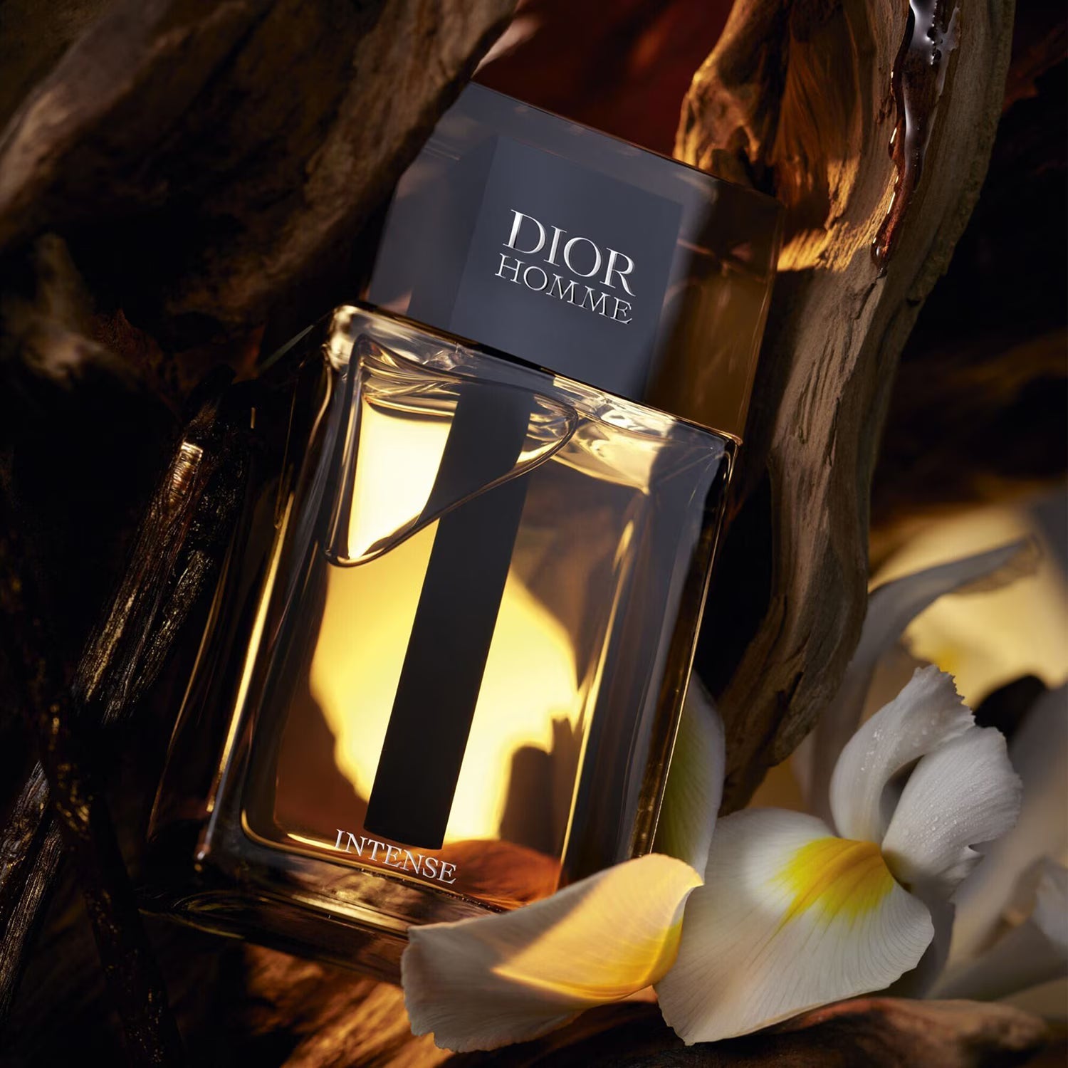 Perfume Dior HOMME INTENSE 100ml