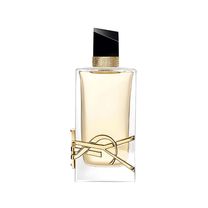 Combo de 5 perfumes: Coco Mademoiselle, Paradoxe, Libre, Black Opium, Chanel N°5 100ml